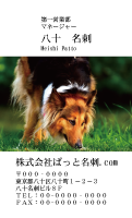 テンプレート名刺【dog photo-d042-zdk】