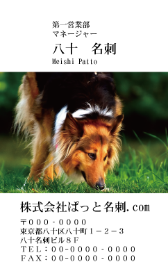 テンプレート名刺【dog photo-d042-zdk】