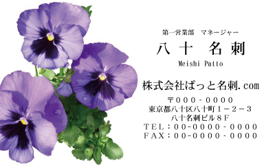 テンプレート名刺【Pansy photo-d003-zdk】