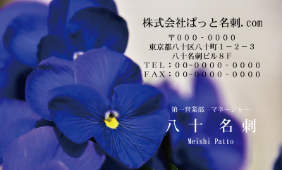 テンプレート名刺【Pansy photo-d005-zdk】