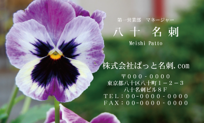 テンプレート名刺【Pansy photo-d009-zdk】