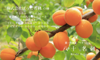 テンプレート名刺【Vegetable&Fruit-d018-zdk】