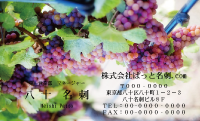 テンプレート名刺【Vegetable&Fruit-d019-zdk】