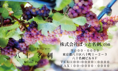 テンプレート名刺【Vegetable&Fruit-d019-zdk】