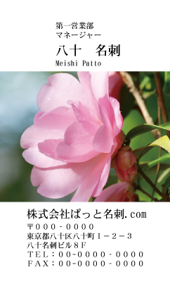 テンプレート名刺【plant-Camellia photo-d003-zdk】