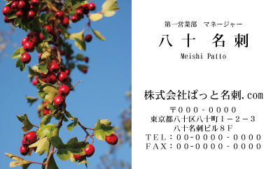 テンプレート名刺【Vegetable&Fruit-d021-zdk】
