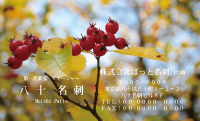 テンプレート名刺【Vegetable&Fruit-d023-zdk】