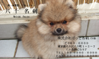 テンプレート名刺【dog photo-d044-ly-zdk】