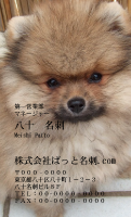 テンプレート名刺【dog photo-d044-ly-zdk】