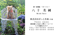 テンプレート名刺【dog photo-d045-ly-zdk】