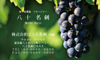 テンプレート名刺【Vegetable&Fruit-d026-zdk】
