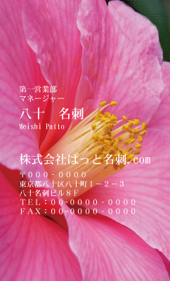 テンプレート名刺【plant-Camellia photo-d004-zdk】