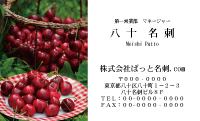 テンプレート名刺【Vegetable&Fruit-d028-zdk】