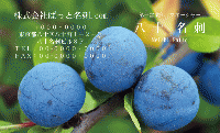 テンプレート名刺【Vegetable&Fruit-d029-zdk】