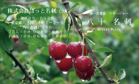 テンプレート名刺【Vegetable&Fruit-d031-zdk】