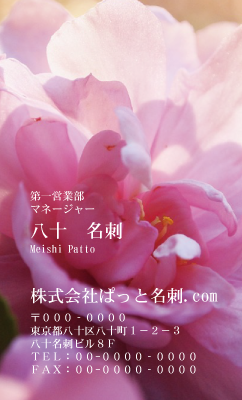 テンプレート名刺【plant-Camellia photo-d006-zdk】