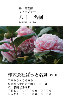 テンプレート名刺【plant-Camellia photo-d007-zdk】