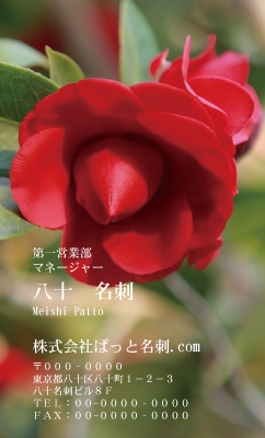 テンプレート名刺【plant-Camellia photo-d008-zdk】