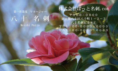 テンプレート名刺【plant-Camellia photo-d009-zdk】