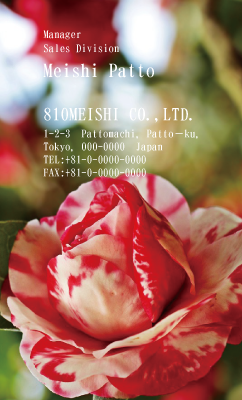 テンプレート名刺【plant-Camellia photo-d010-zdk】