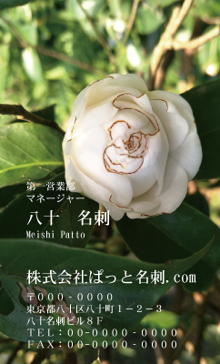 テンプレート名刺【plant-Camellia photo-d011-zdk】