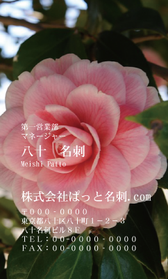 テンプレート名刺【plant-Camellia photo-d012-zdk】