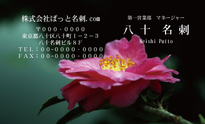 テンプレート名刺【plant-Camellia photo-d014-zdk】