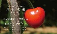 テンプレート名刺【Vegetable&Fruit-d036-zdk】