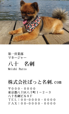 テンプレート名刺【dog photo-d047-zdk】