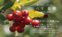 テンプレート名刺【Vegetable&Fruit-d040-zdk】