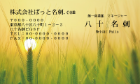 テンプレート名刺【plant photo-d002-zdk】