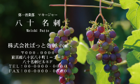 テンプレート名刺【Vegetable&Fruit-d043-zdk】