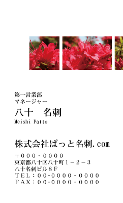 テンプレート名刺【plant-azaleas photo-d002-zy-lm】