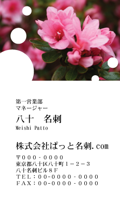 テンプレート名刺【plant-azaleas photo-d006-zy-zyz】