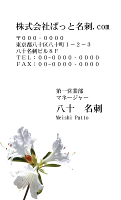 テンプレート名刺【plant-azaleas photo-d007-zy-zyz】