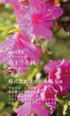 テンプレート名刺【plant-azaleas photo-d020-zy-lm】