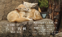 テンプレート名刺【animal photo-d029-zdk】