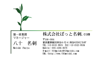 テンプレート名刺【plant-d185-zy-10】