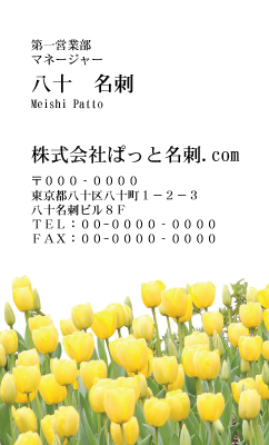 テンプレート名刺【plant-tulip photo-d004-zyz】