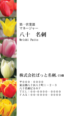 テンプレート名刺【plant-tulip photo-d006-zyz】