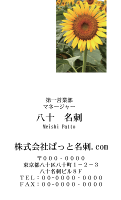 テンプレート名刺【plant-sunflower photo-d010-lm】