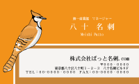テンプレート名刺【animal_d372-zy-12】