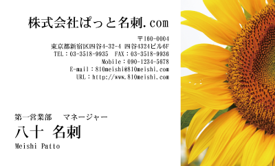 テンプレート名刺【plant-sunflower photo-d011-lm】