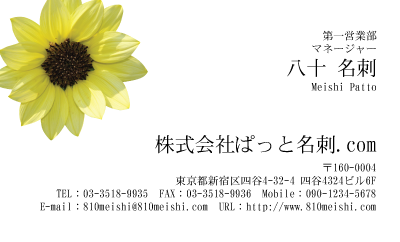 テンプレート名刺【plant-sunflower photo-d001-zyz】