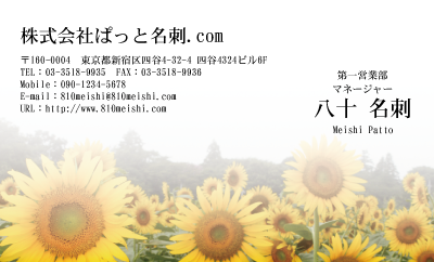 テンプレート名刺【plant-sunflower photo-d019-lm】