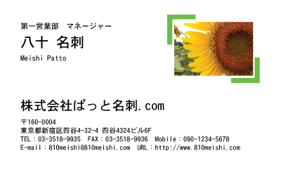 テンプレート名刺【plant-sunflower photo-d004-zyz】