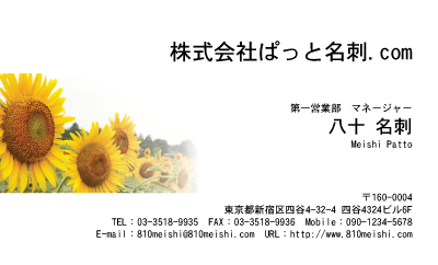 テンプレート名刺【plant-sunflower photo-d006-zyz】