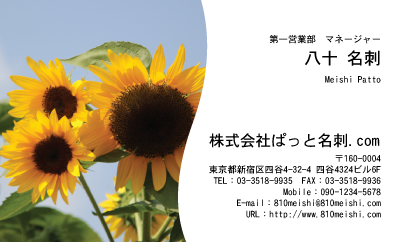 テンプレート名刺【plant-sunflower photo-d009-zyz】