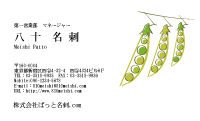 テンプレート名刺【plant-d208-zy-04】