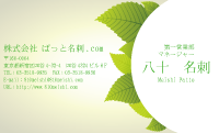 テンプレート名刺【plant-d013】
